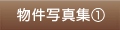 �����ʐ^�W1