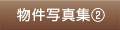�����ʐ^�W2