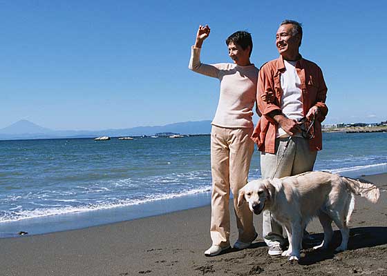 夫婦で海岸を散歩イメージ